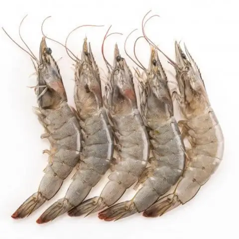 1.	Bulk Shrimps for Sale Trusted Supplier of Premium Fresh and Frozen Shrimps Export-Grade Seafood for Restaurants