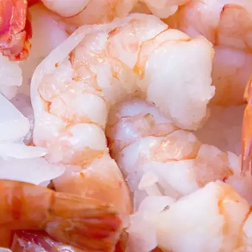 1.	Bulk Shrimps for Sale Trusted Supplier of Premium Fresh and Frozen Shrimps Export-Grade Seafood for Restaurants