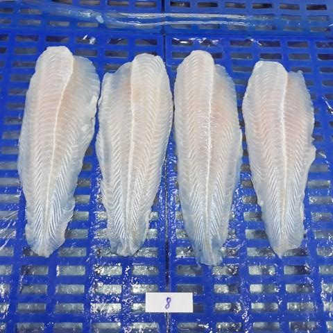 FROZEN BASA FILLET / FRESH & DELICIOUS SEAFOOD / MADE in VIETNAM
