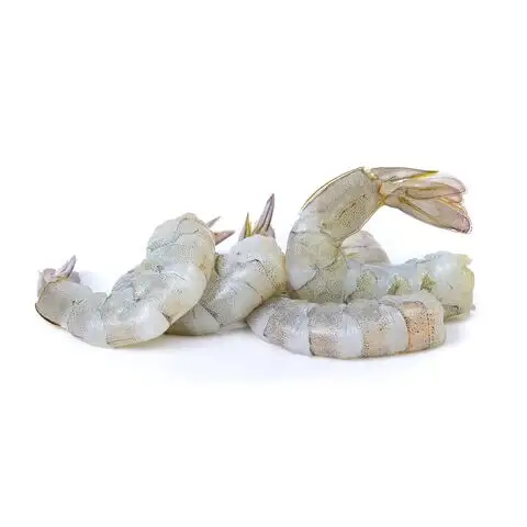 1.	Bulk Shrimps for Sale Trusted Supplier of Premium Fresh and Frozen Shrimps Export-Grade Seafood for Restaurants