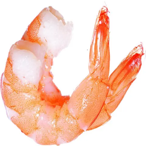 1.	Bulk Shrimps for Sale Trusted Supplier of Premium Fresh and Frozen Shrimps Export-Grade Seafood for Restaurants