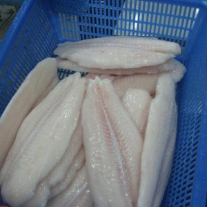 FROZEN BASA FILLET / FRESH & DELICIOUS SEAFOOD / MADE in VIETNAM