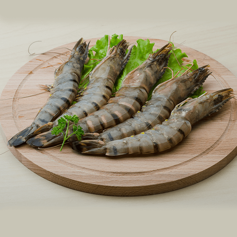 Sea Caught Prawns/Seafood/Wild Shrimps/Prawns for Sale 2023 Top Factory